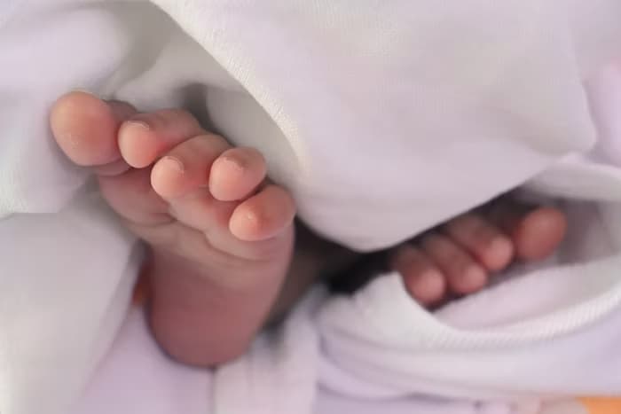 pieds de bébé pieds de bébé